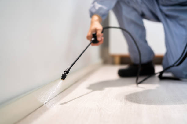 Licensed Cockroach Control service in Lockport Heights, LA - Nex Pest Control