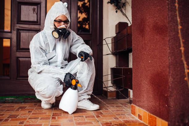 Reliable Cockroach Control contractor in Lockport Heights, LA by Nex Pest Control