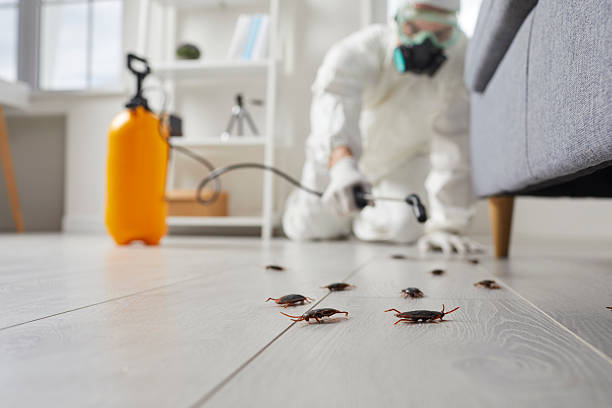 Trusted Termite Control service in Lockport Heights, LA - Nex Pest Control