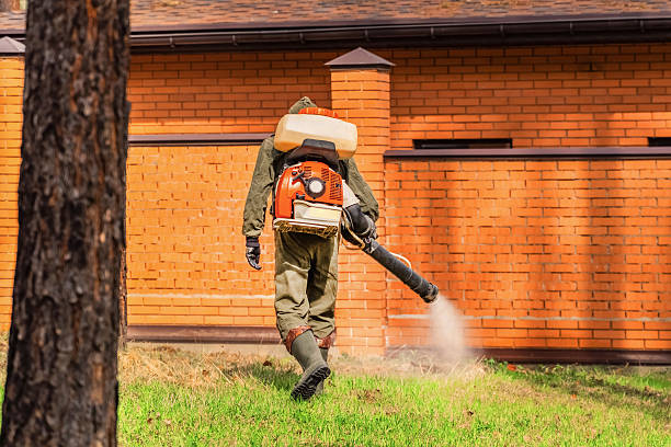 Trusted Cockroach Control service in Lockport Heights, LA - Nex Pest Control
